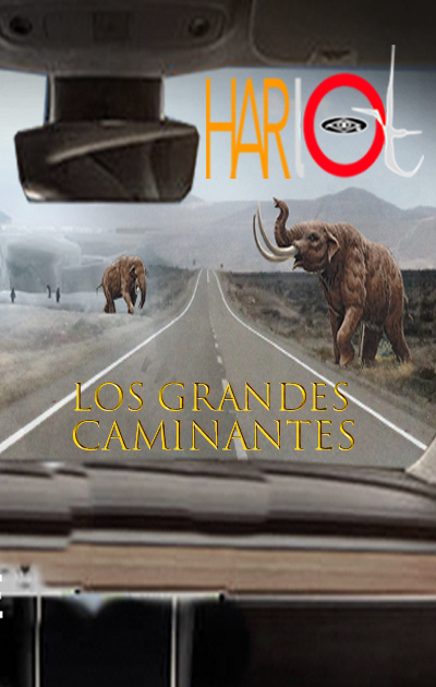 Juego educativo Harlot El Hombre de la pizarra