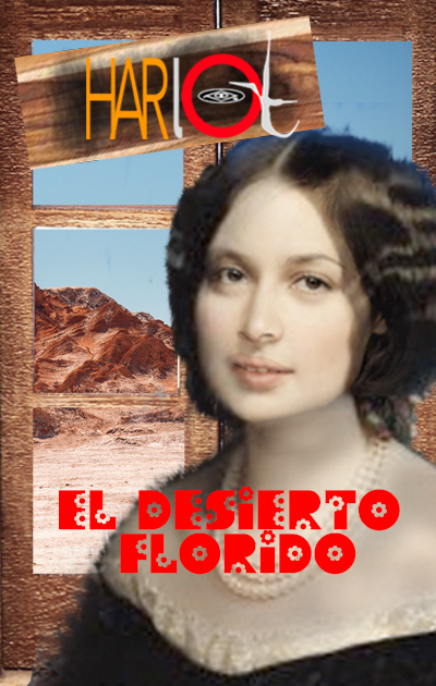 Juego educativo Harlot El Hombre de la pizarra